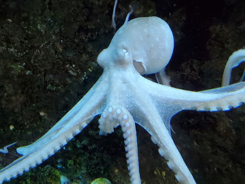 Sea Lab Surprises Everyone