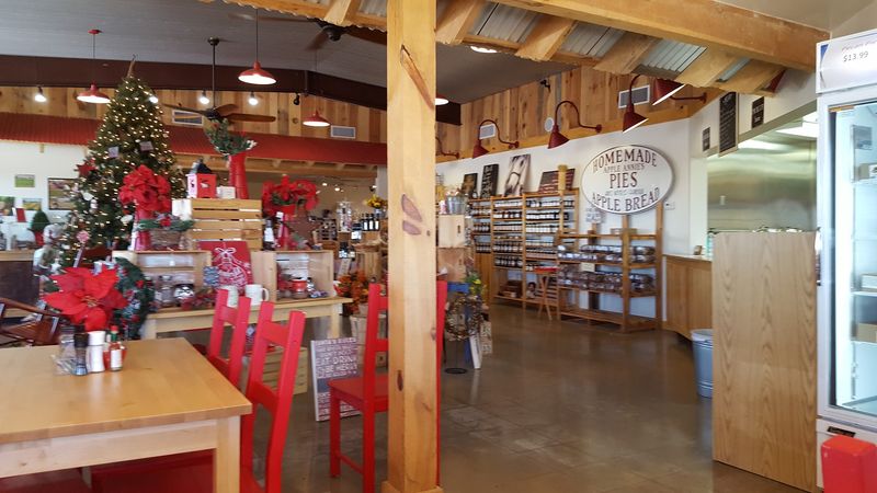 The Orchard Grill Cafe Experience