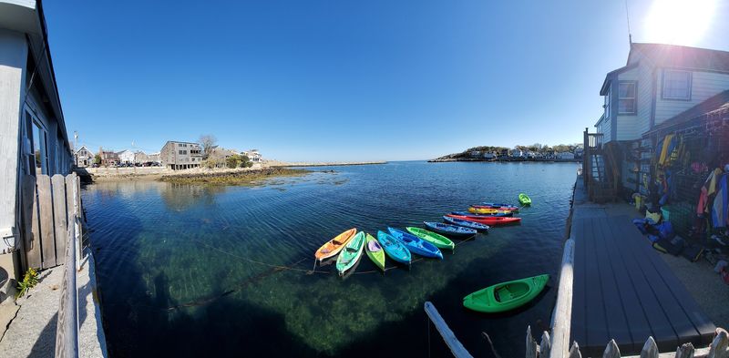 Whale Watching And Water Adventures Off Cape Ann