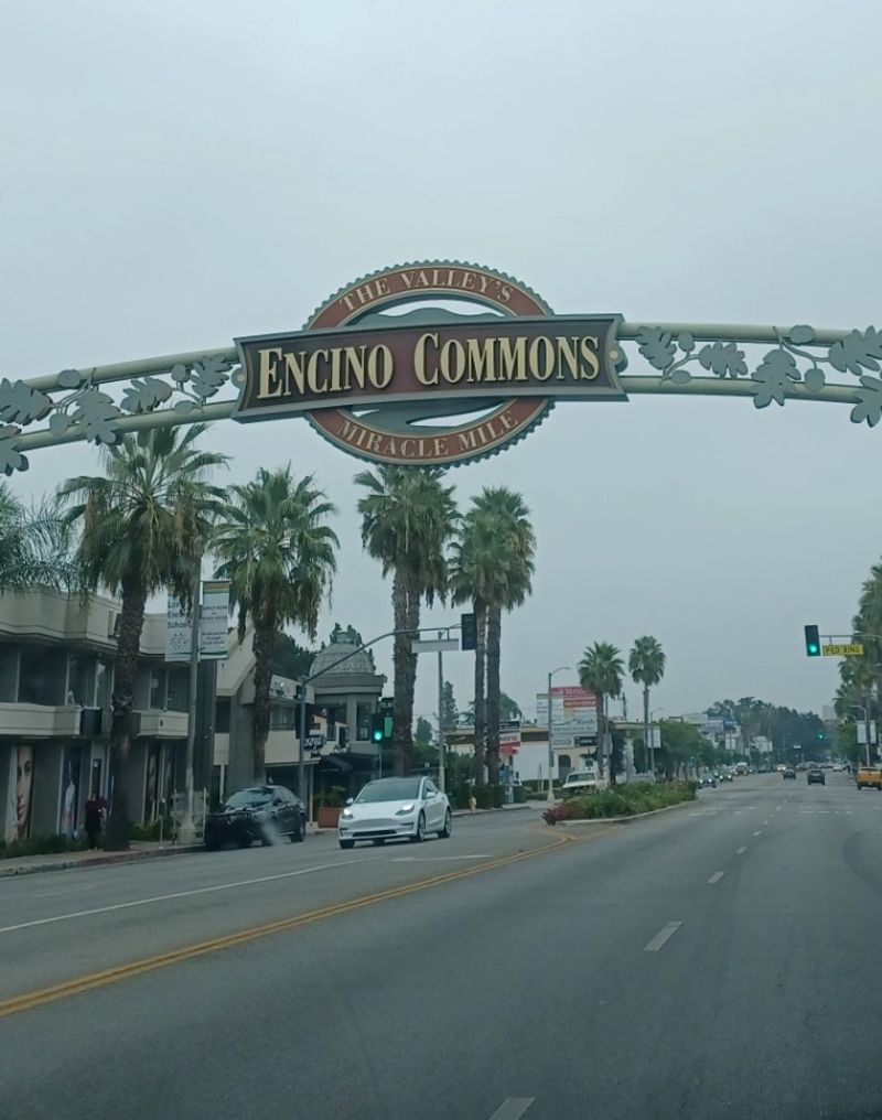 Encino