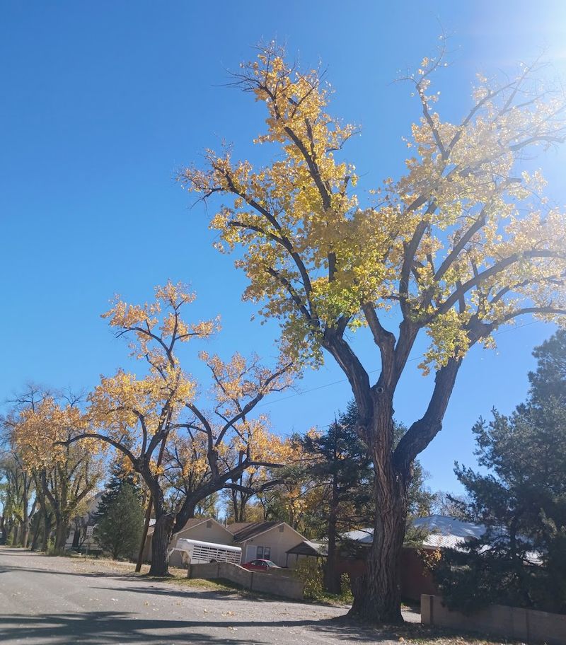 Historic Streets With A Rural Soul