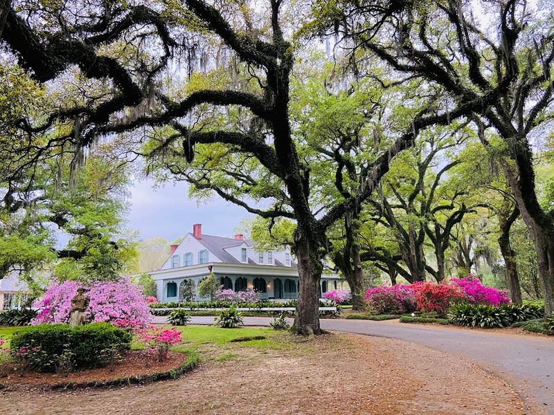 Grounds And Seasonal Light