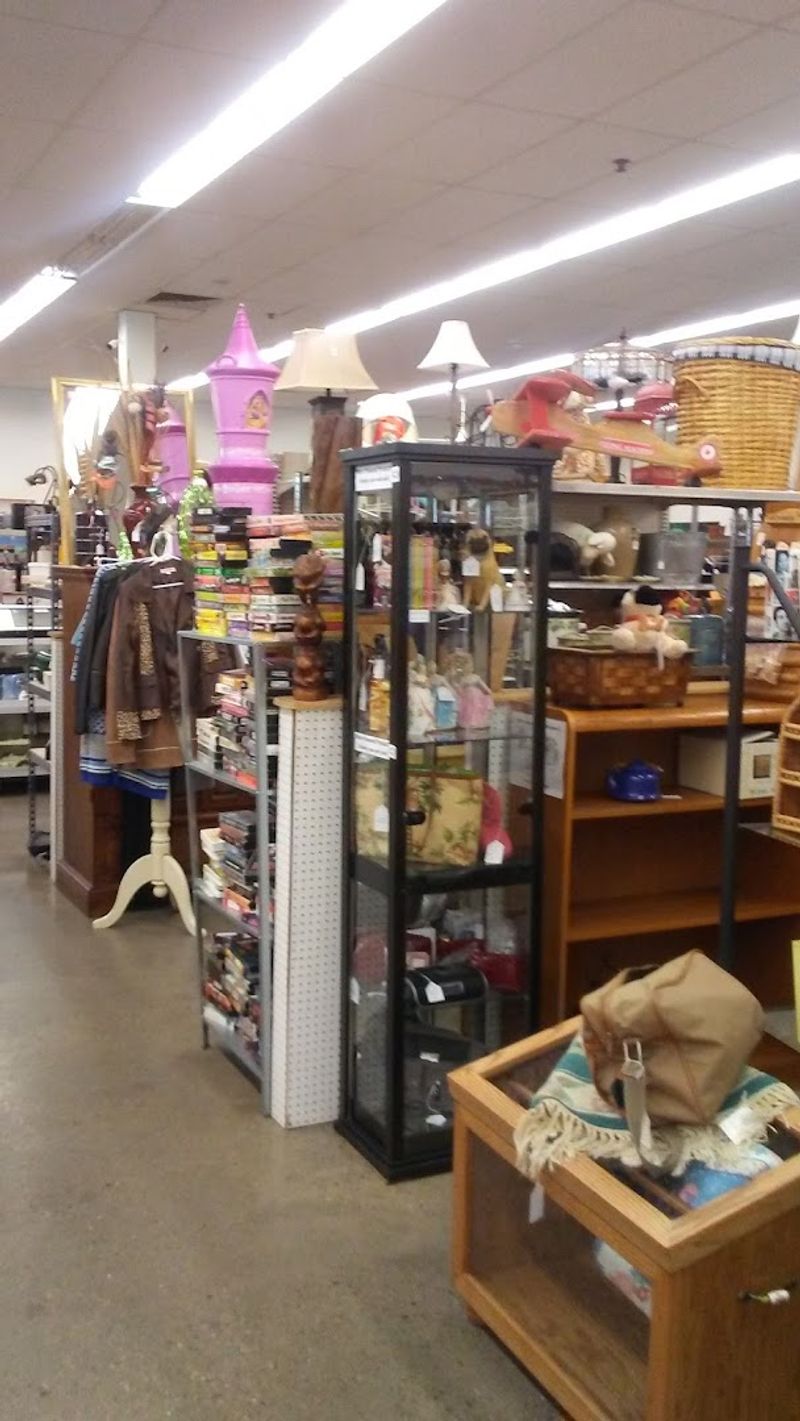 A Casual Indoor Escape For Curious Shoppers