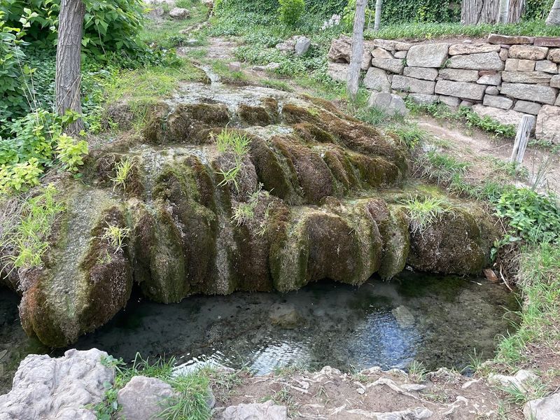 Faded Gardens In The Desert