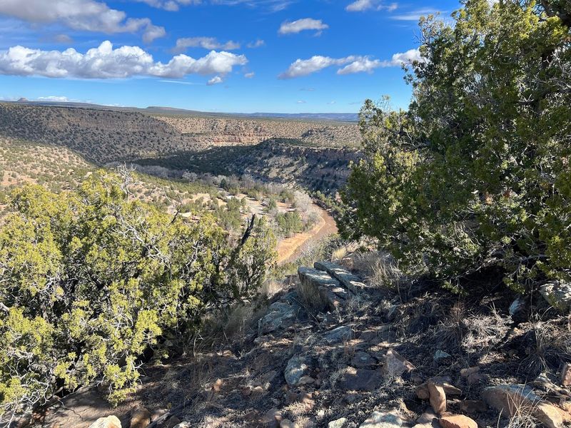 Wildflower Paths And Desert Stillness