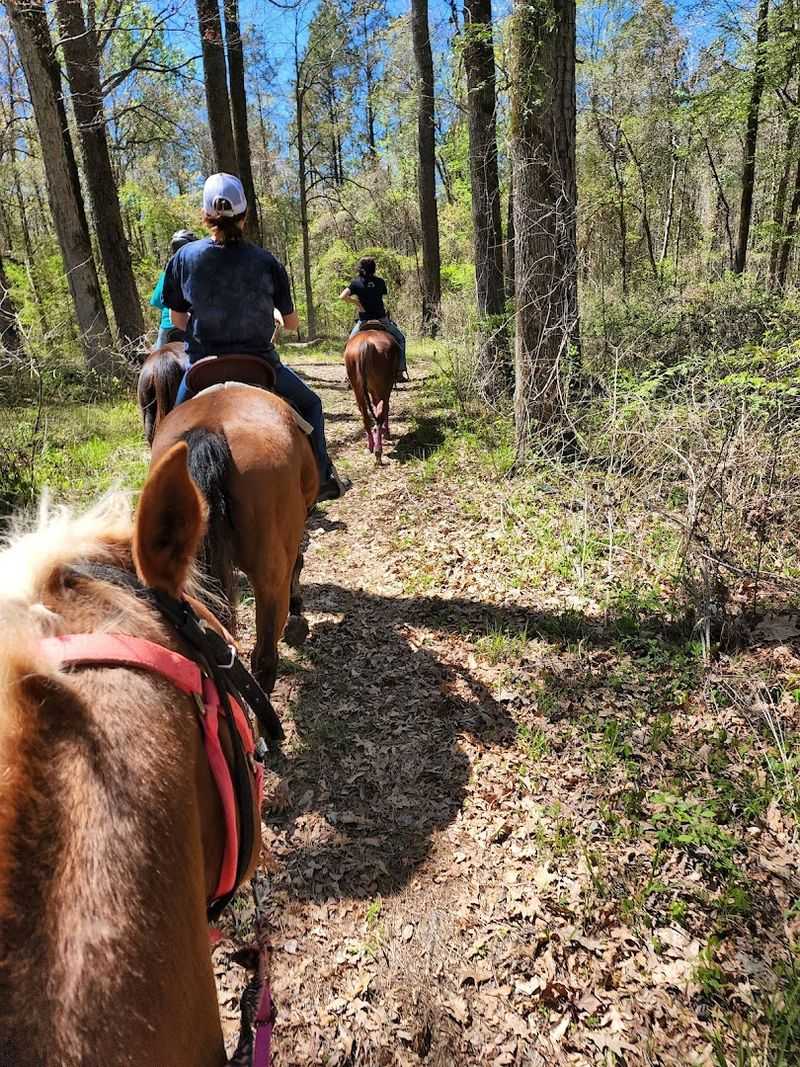 Trail History
