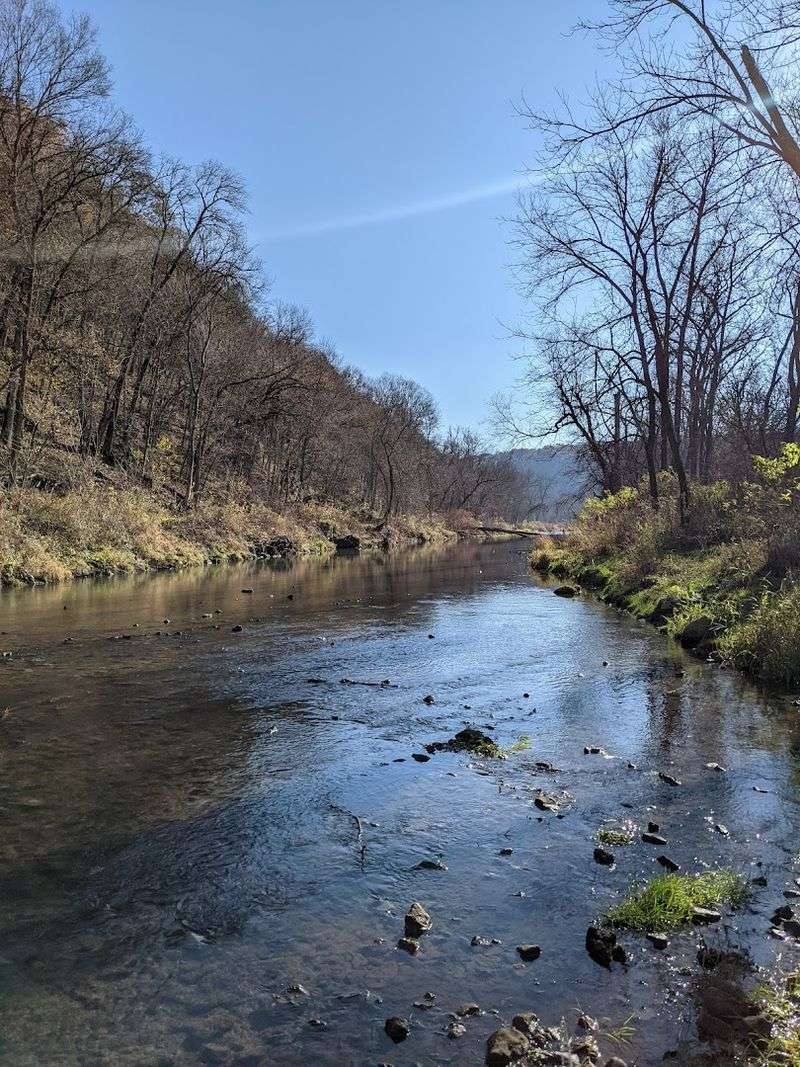 Camping Along the Creek