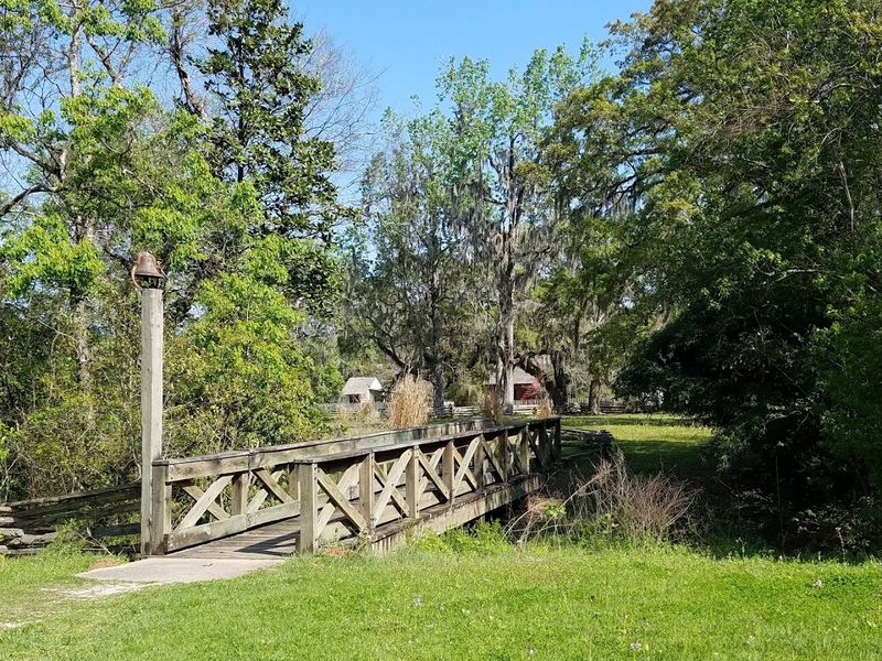 Seasonal Birding And Nature
