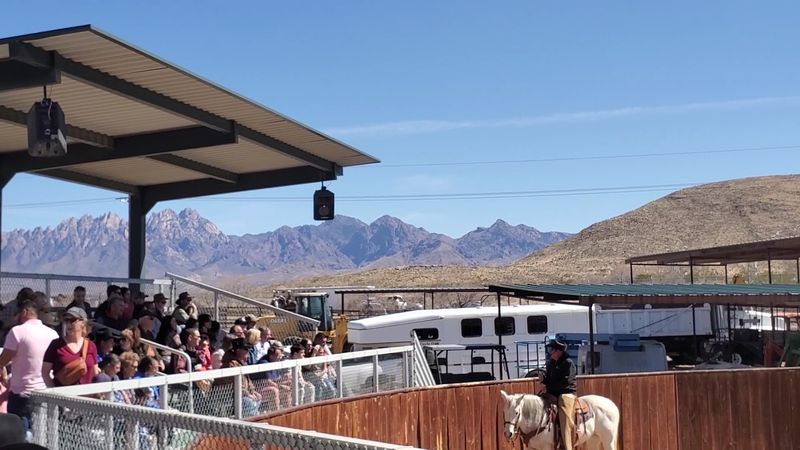 Mountain Views From The Grounds