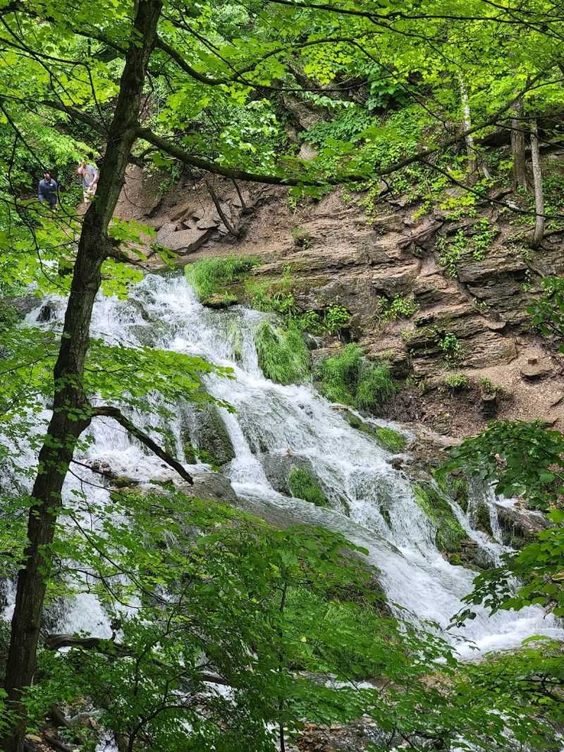 Dunning's Spring Park, Decorah