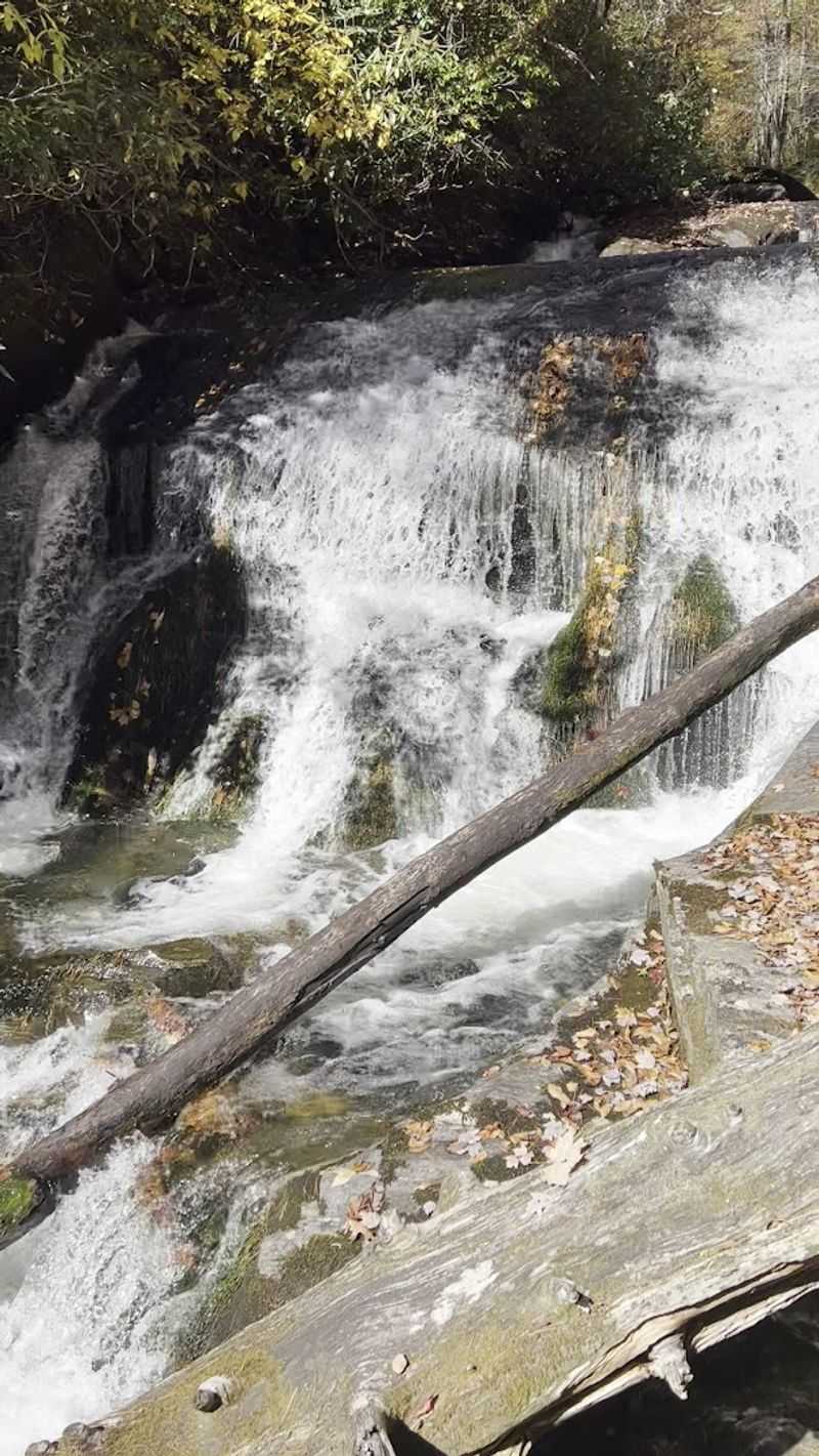 Put-In Falls