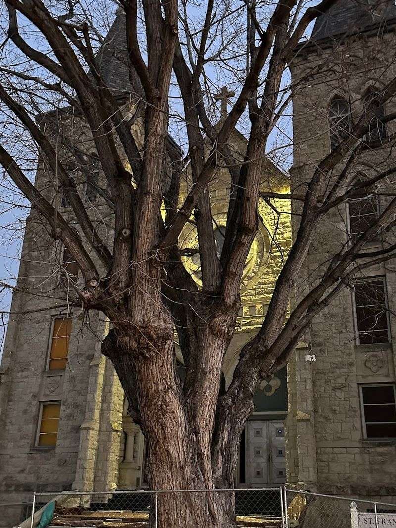 National Register Status And What It Actually Means