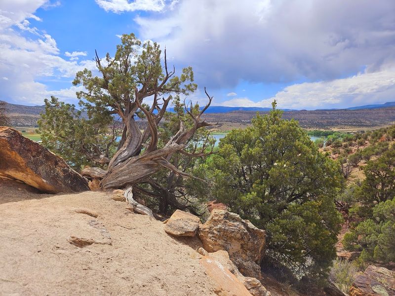 Make It A Mini Plan: The Right Way To Visit Escalante