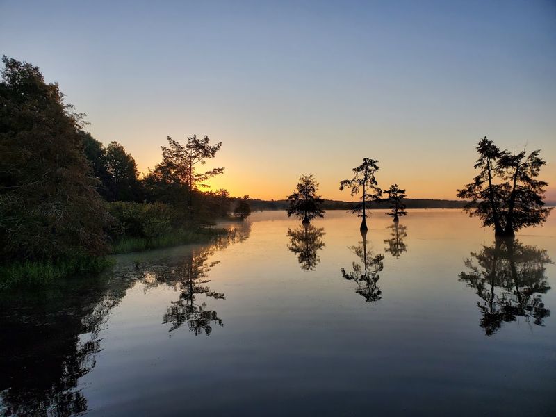 Lake D'Arbonne State Park