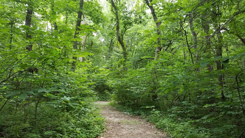 Hiking Trails Through Wooded Kansas Terrain