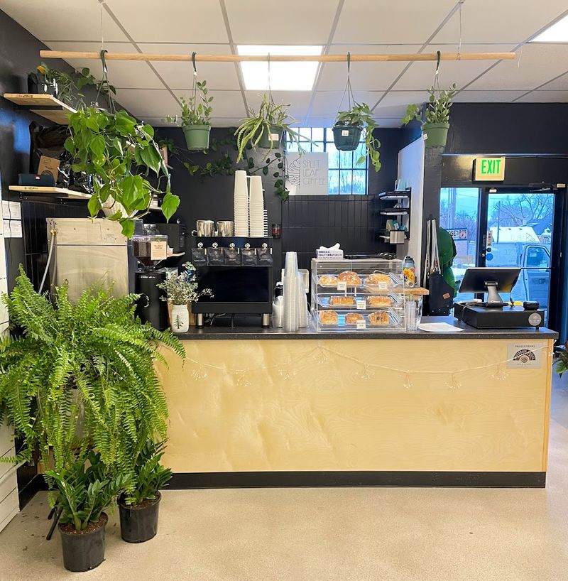 Split Leaf Coffee, Bountiful