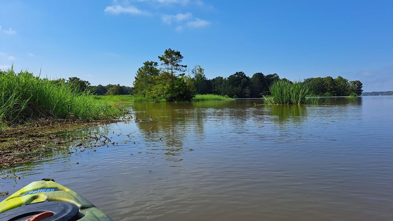 Swamp Roads Before The Still Water
