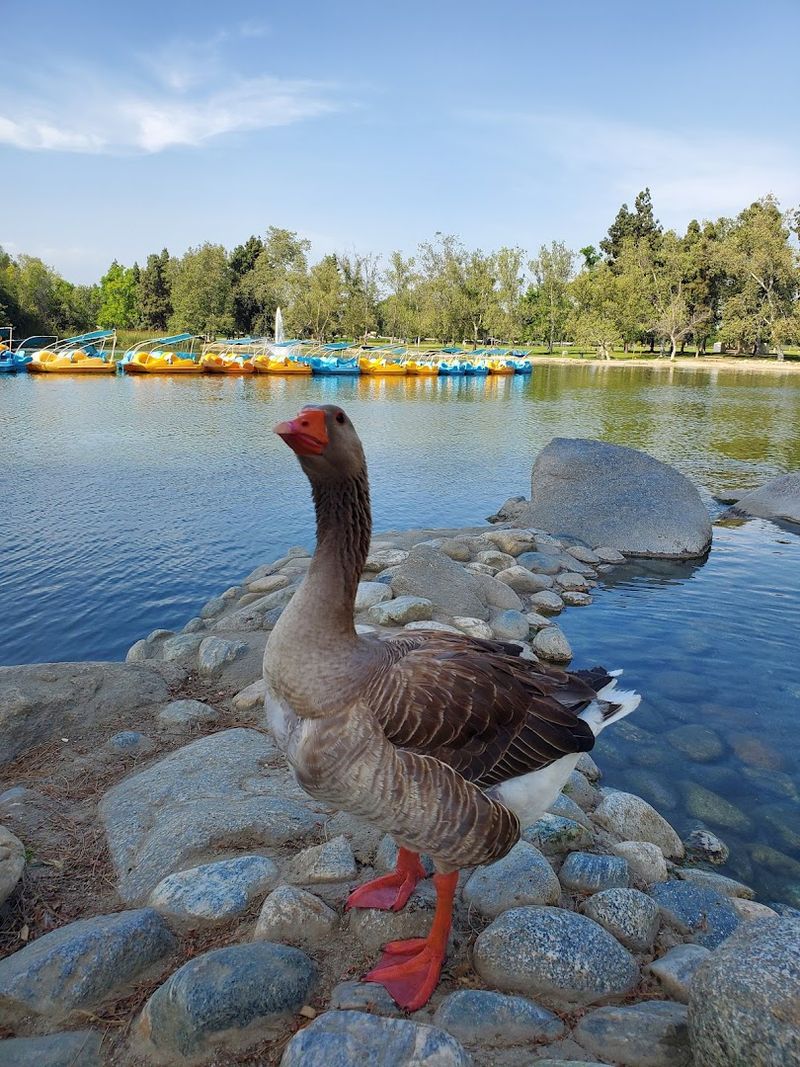Whittier Narrows Recreation Area, South El Monte