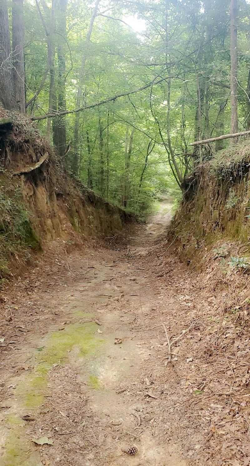 Tunica Hills C Trail