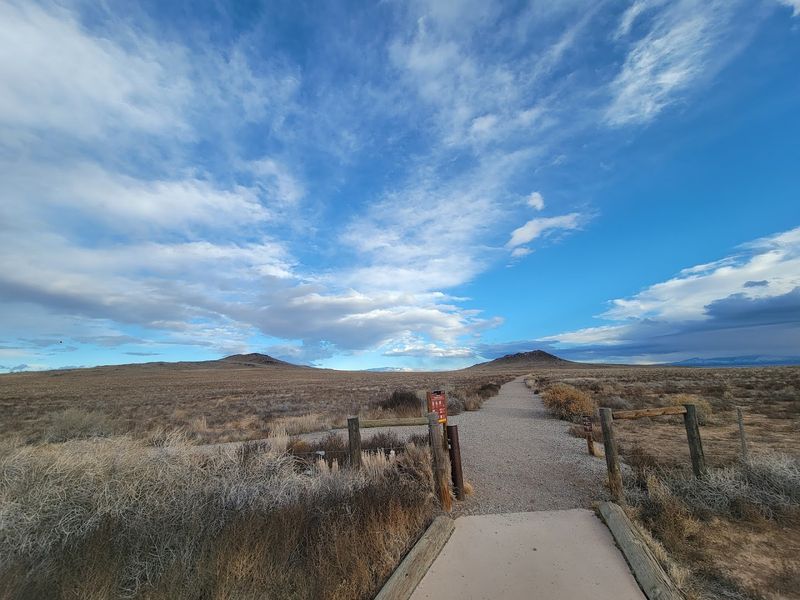 Celebrate Desert Rain Like A True New Mexican