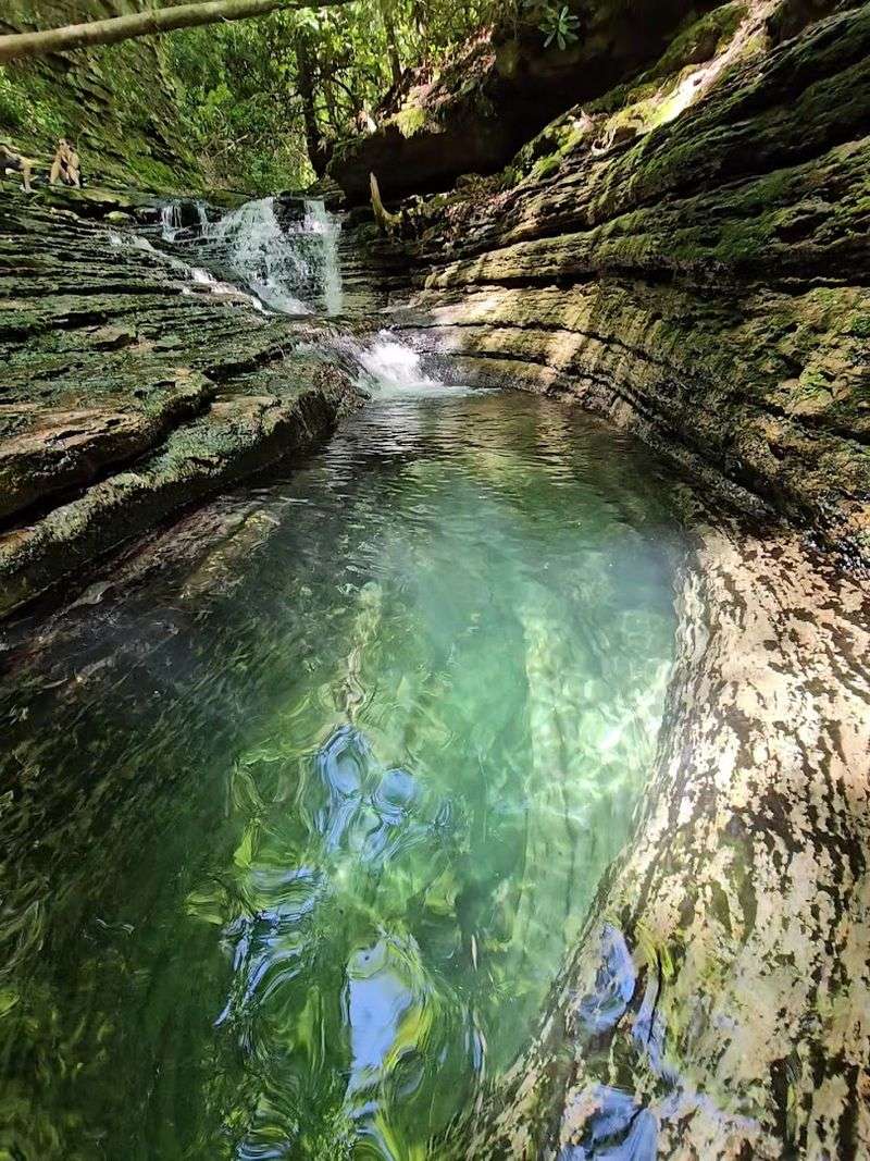 Why This Virginia Waterfall Keeps Drawing People Back