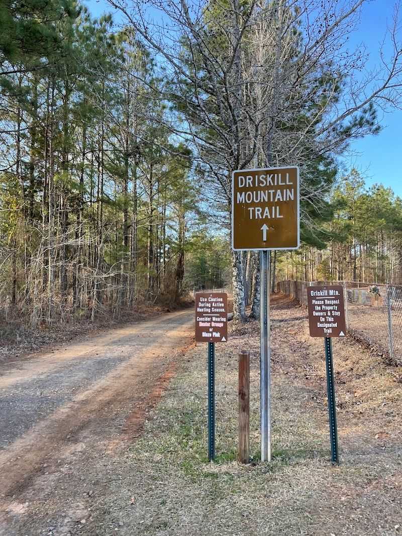 Mount Driskill Trail