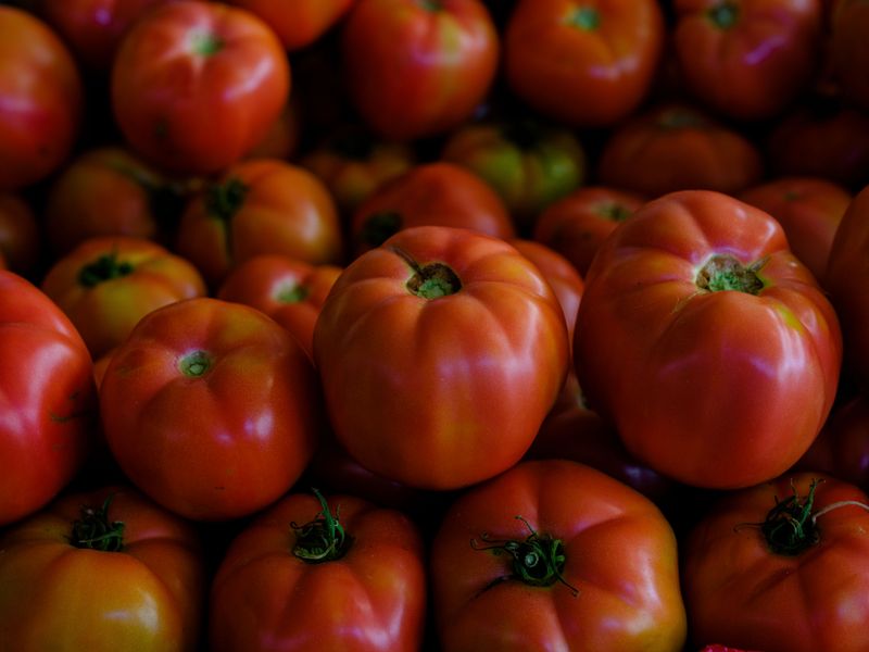 Creole Tomato Festival
