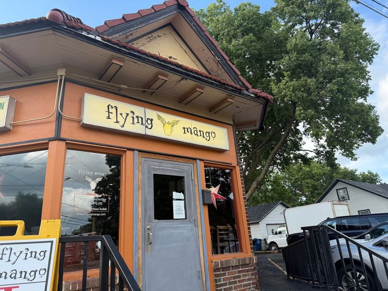 Flying Mango
