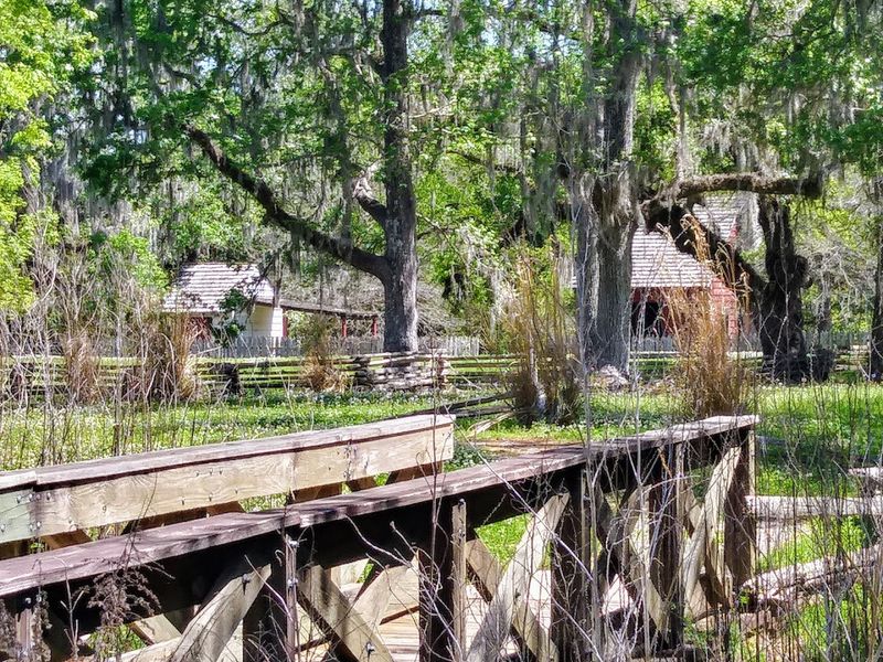 Bayou Teche With A Storybook Shadow