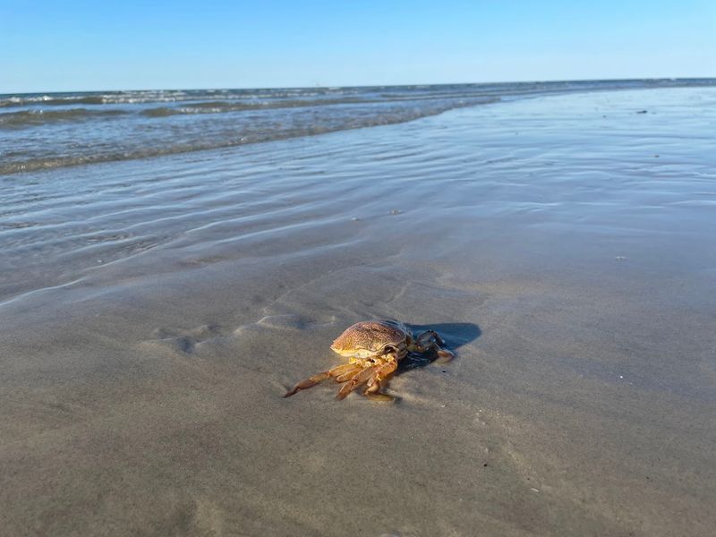 Warm Water On The Calm Side Of The Cape