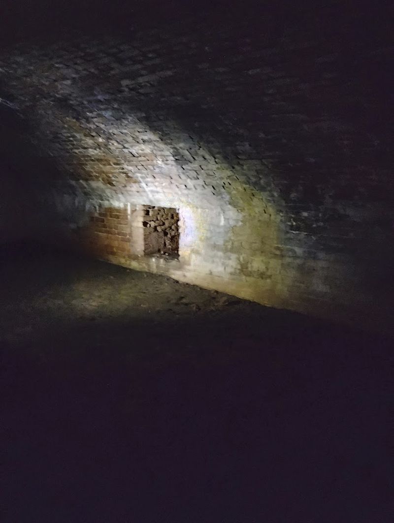 Eerie Cannon Tunnels