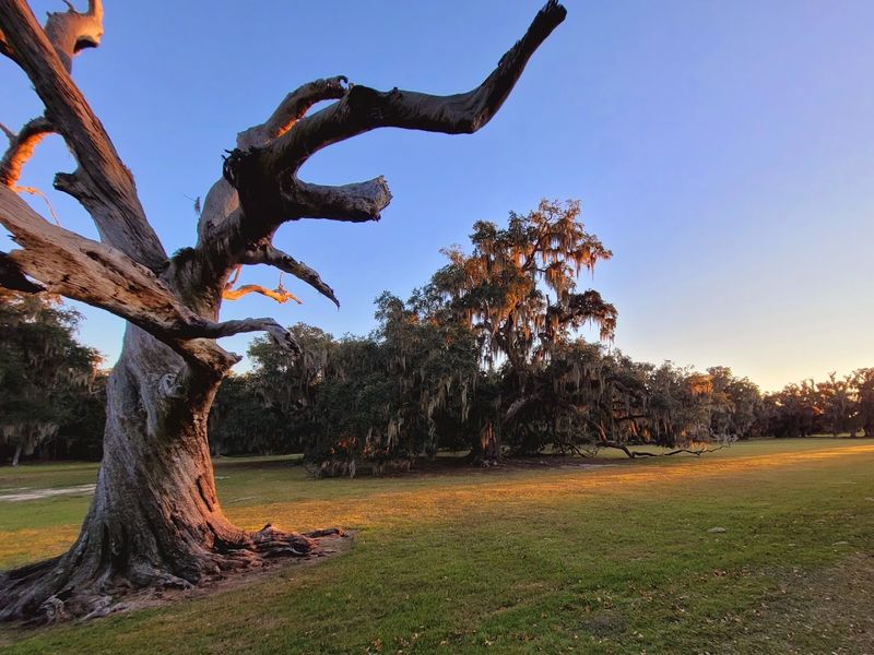 Fontainebleau State Park All-Inclusive Playground