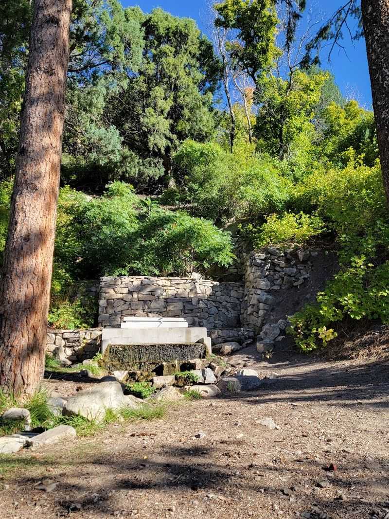 Hidden Ruins Among The Greenery