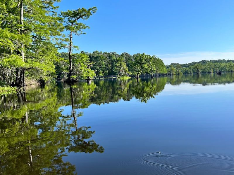 Lake Chicot Loop Trail