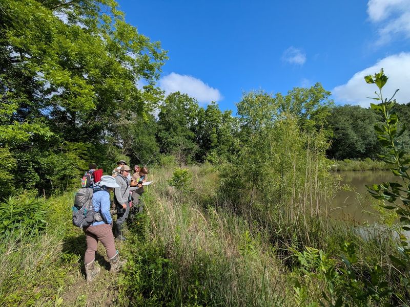 Atelier De La Nature, Nature Walks And Education