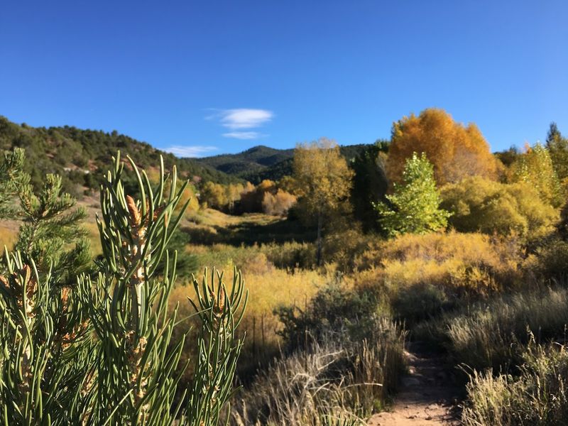 Quiet Paths Through Wild Habitat
