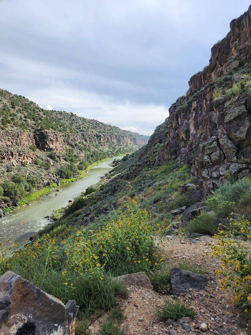 Golden Light Over The River Canyon