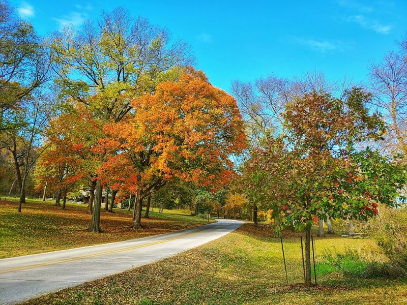 Dolliver Memorial State Park, Lehigh
