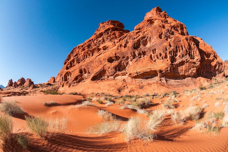 Gold Butte And The Virgin River Gorge Reward Anyone Willing To Explore