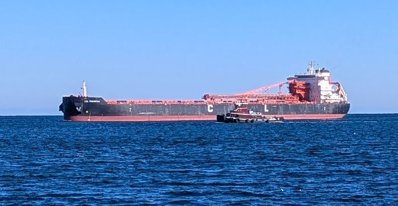 River Traffic, Wildlife, And The Show That Never Stops