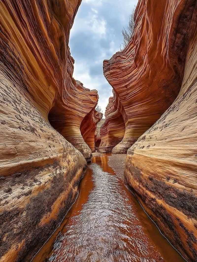 Willis Creek Narrows — Grand Staircase-Escalante