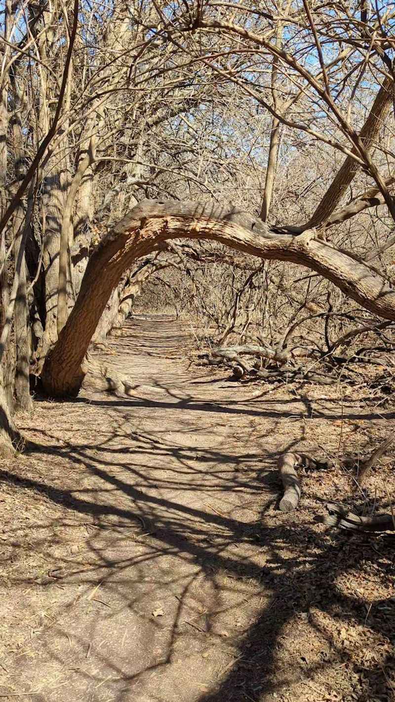 The Great Plains Nature Center Connection