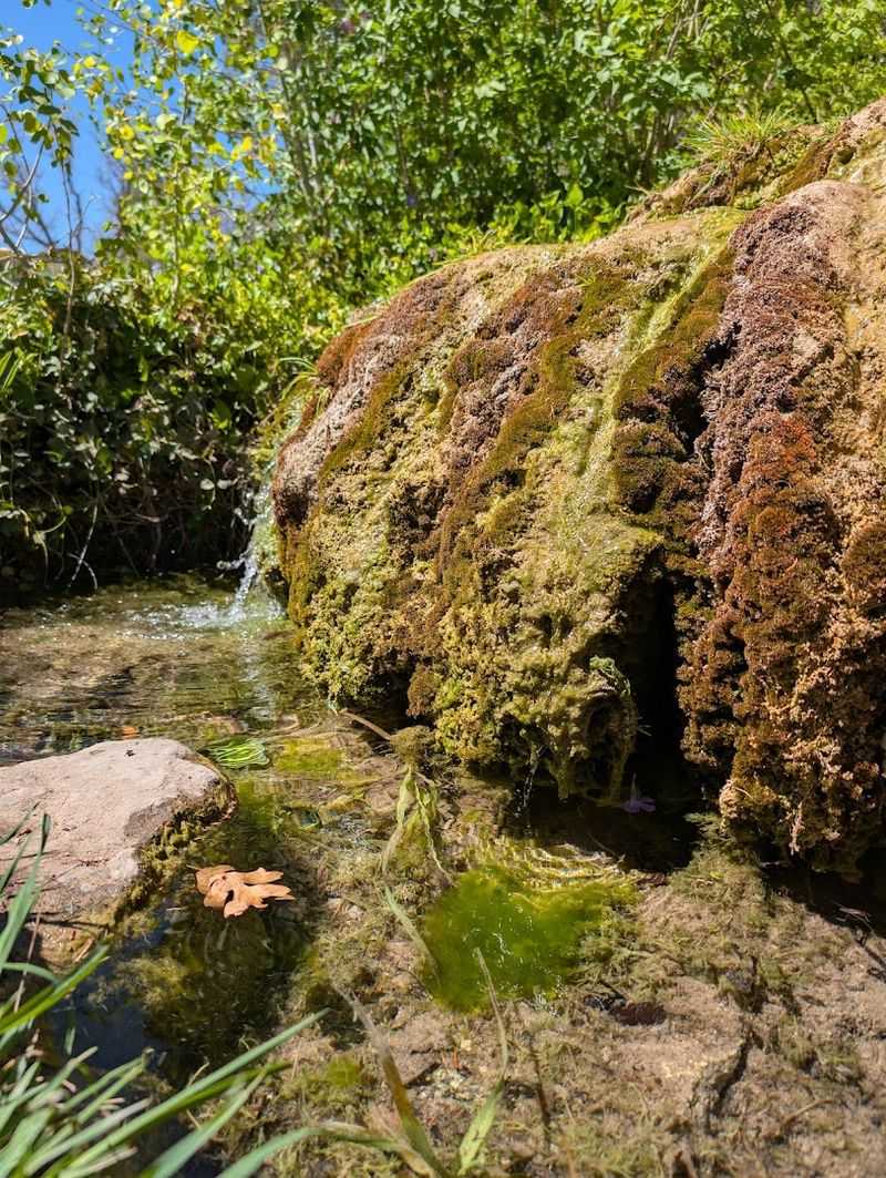 Mossy Corners And Mountain Air
