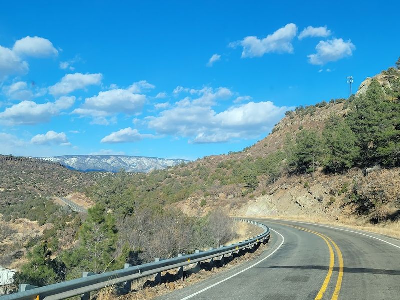 Forest Edges Along Wide Roads