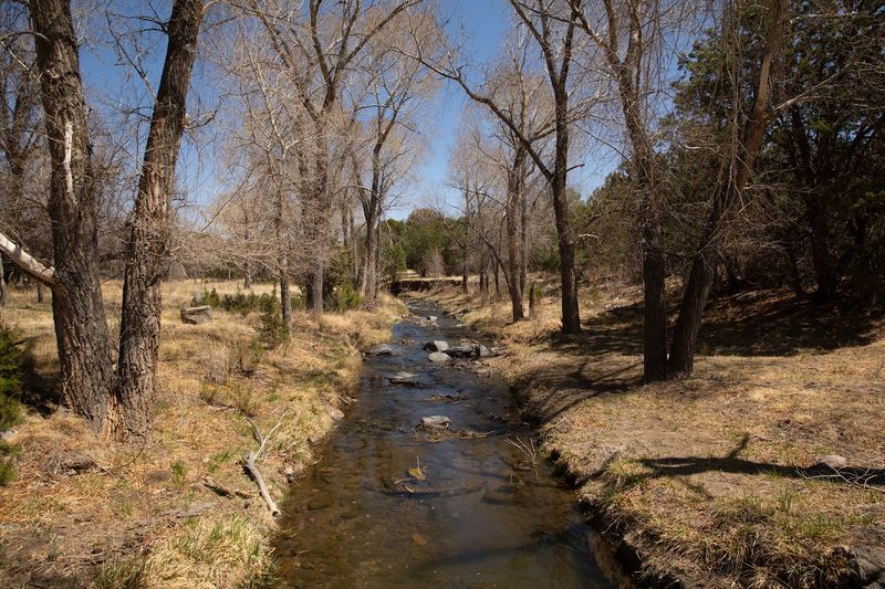 Quiet Paths Through Juniper Country