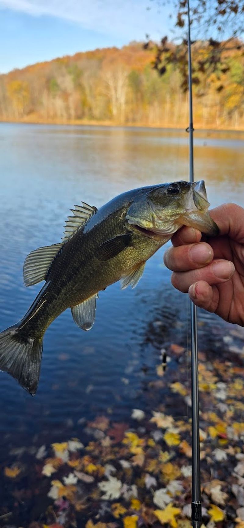 Fishing A Lake That Actually Gives Back