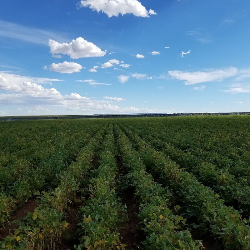 Where Farm Roots Meet Railroad History
