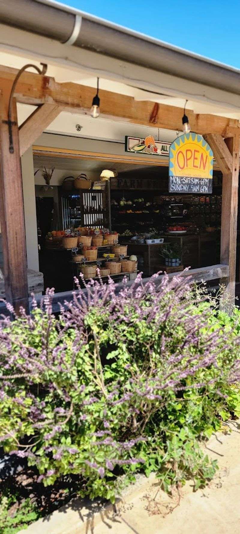 The Herb Garden Walk Before Your Morning Smoothie