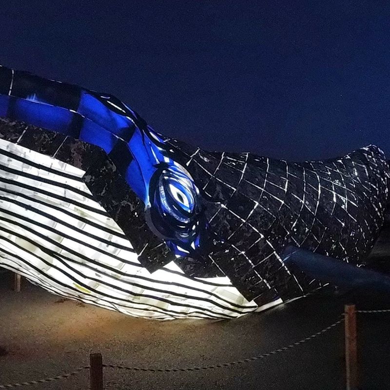Sculptural Details Made For Close-Up Photos