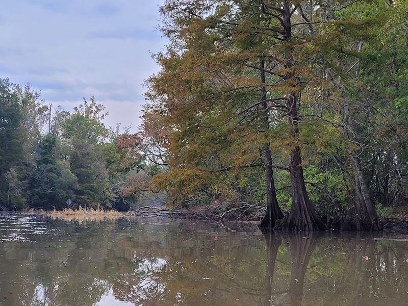 Try Primitive Canoe Camping